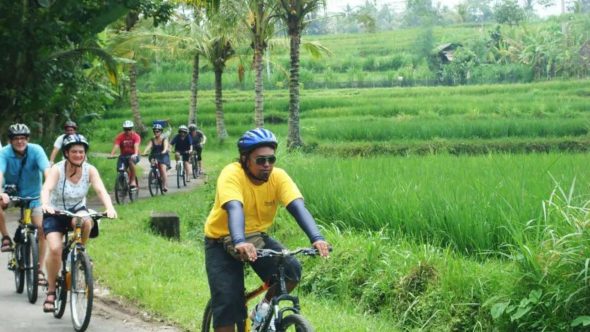 Discover Bali by Bike: Scenic Cycling Tour