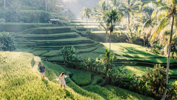 Discover Ubud: Tailored Private Tour Experience